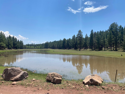 Sedona ATV & Buggy Rental, Inc.-弗拉格斯塔夫必去景点