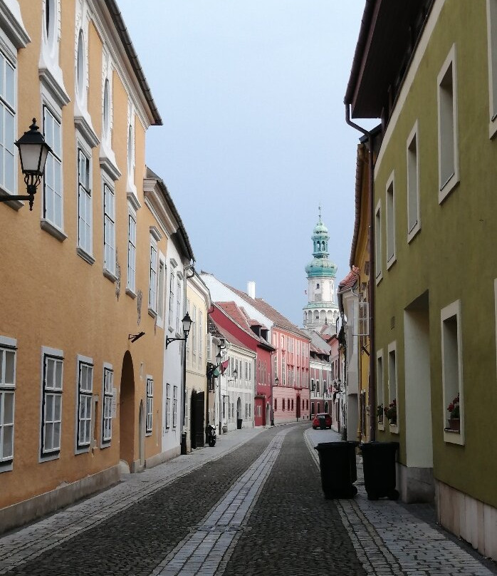 帕拉缇诺斯酒店主图