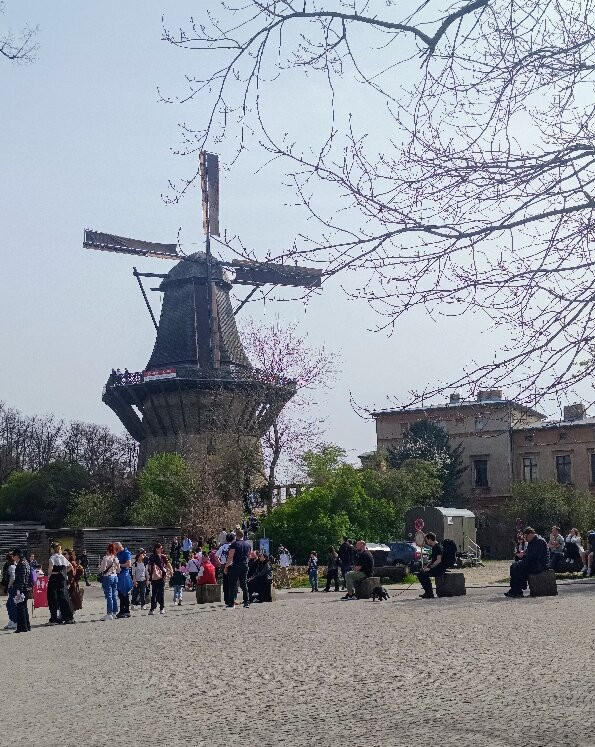 The Historic Windmill-波茨坦必去景点