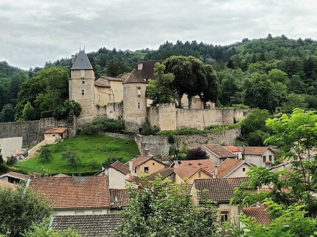Chateau de Châteldon景点图片