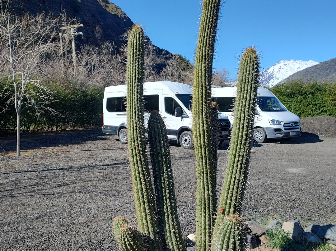 Turiscoop. Viaja, explora y de-El Canelo必去景点