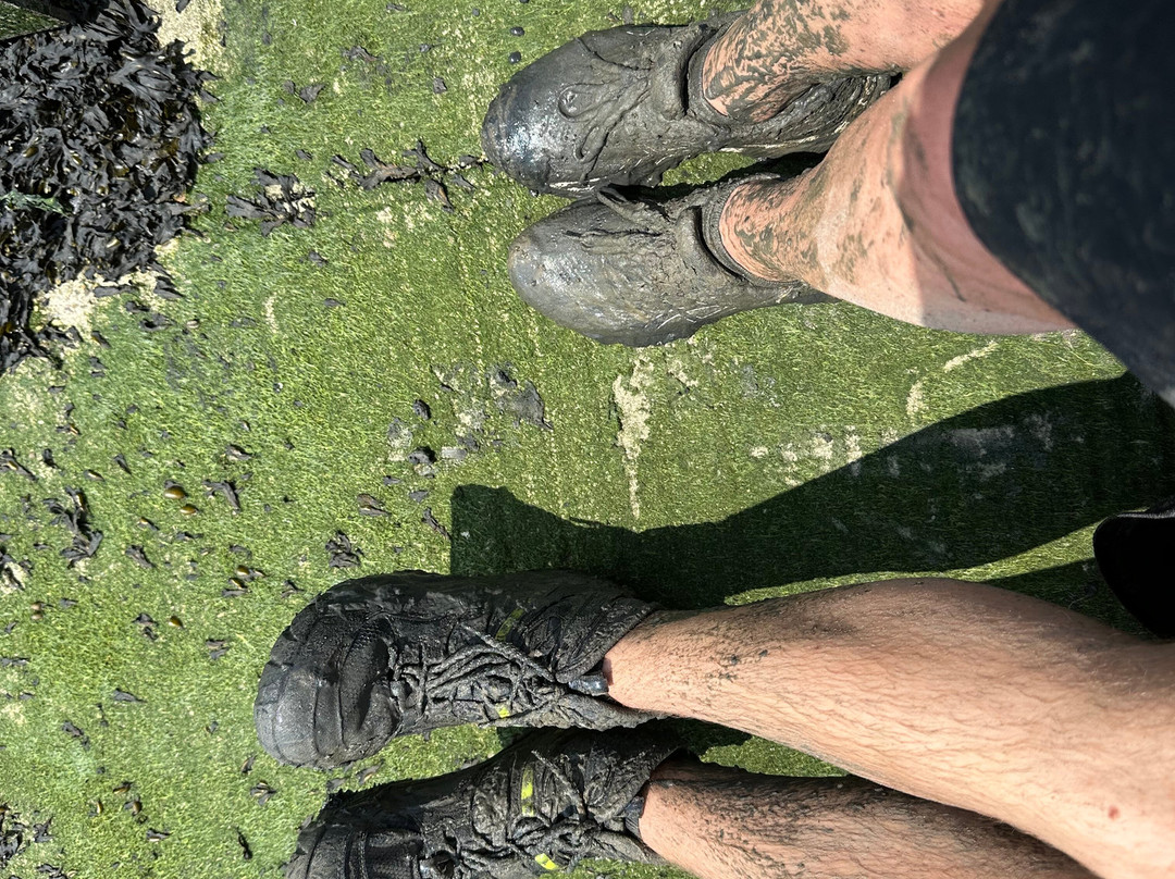 Wattwanderzentrum Ostfriesland-Harlesiel必去景点