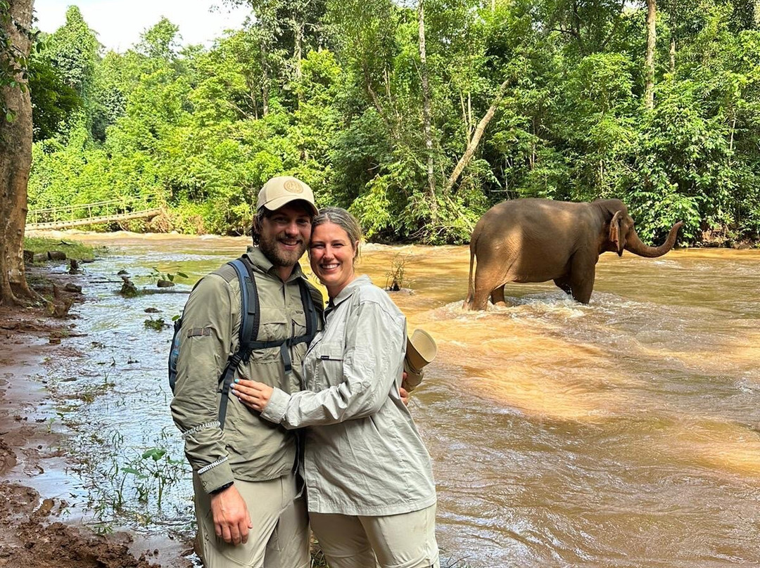 Elephant Community Project - Day Tours景点图片