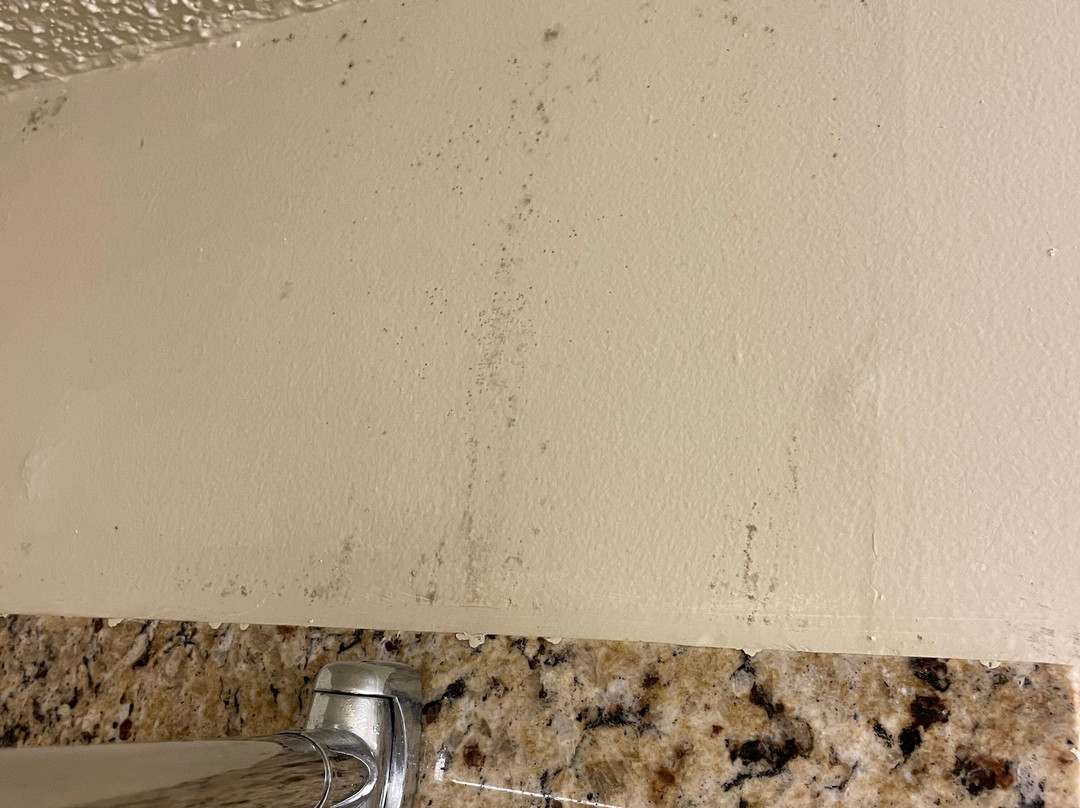 Best Western Crossroads Inn主图