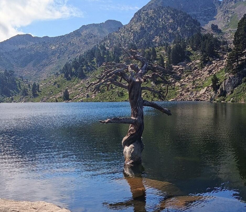 蒙塔图酒店主图