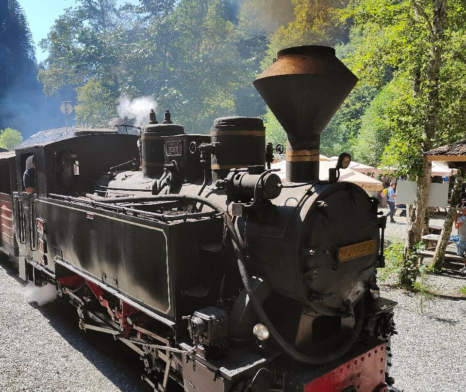 Mocanita Maramures - Viseu De Sus景点图片