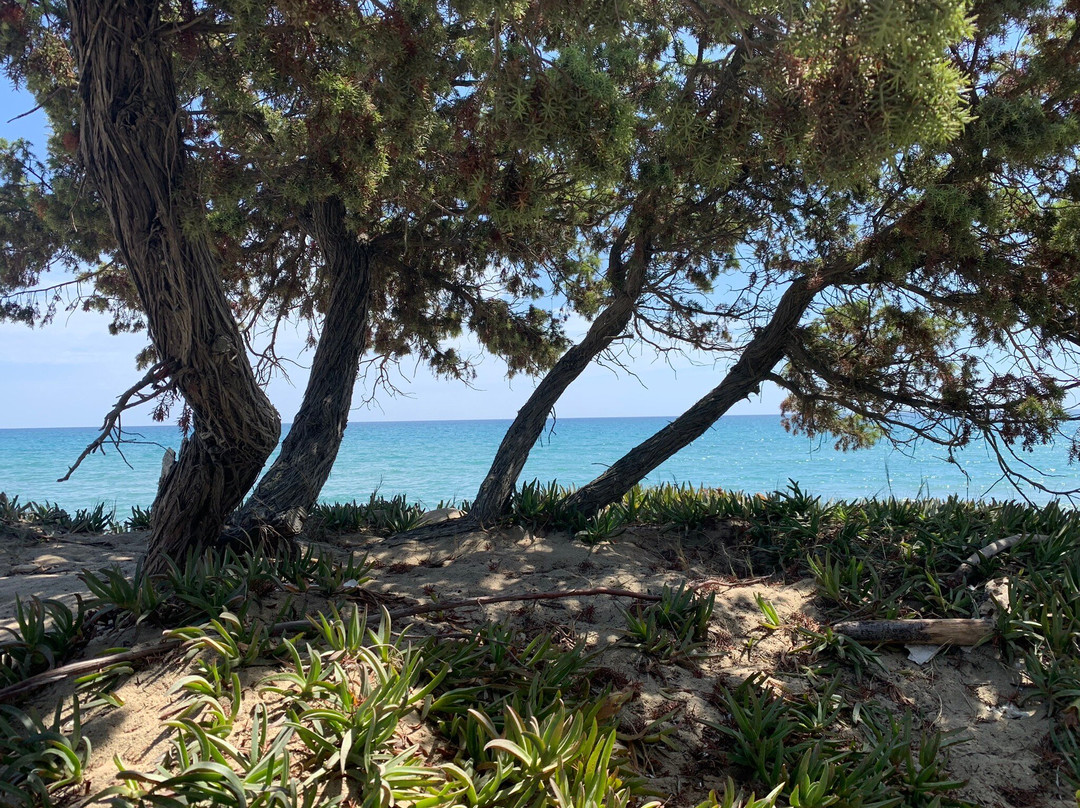 Plage De Casabianda-Aleria必去景点
