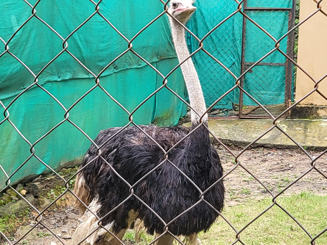 Dehradun Zoo景点图片