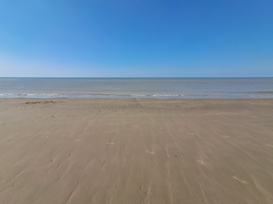 Strand Zeebrugge-泽布鲁日必去景点