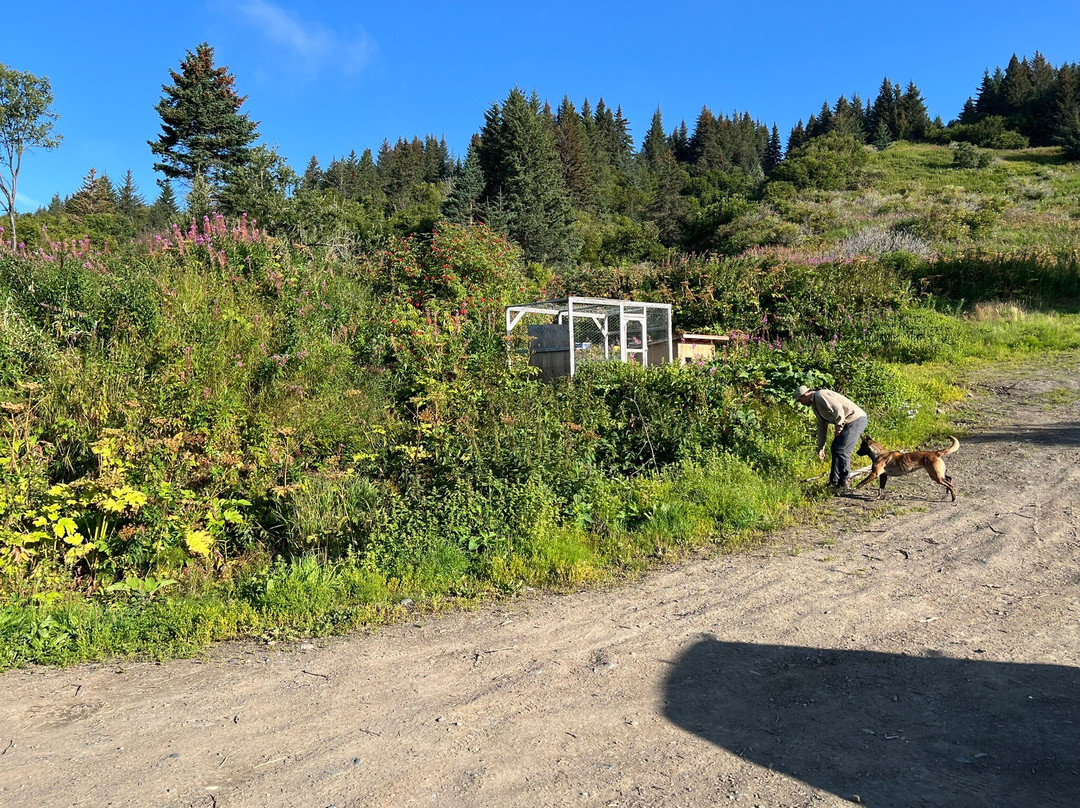 Stoked Honeybee Farm-荷马必去景点