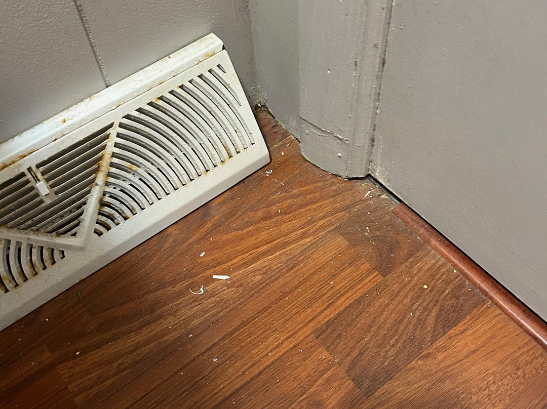 Andy Griffith's Homeplace主图