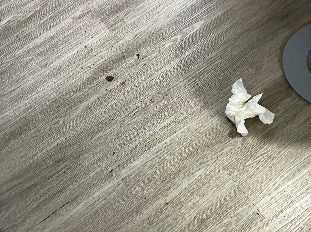 圣路易斯西港贝斯特韦斯特SureStay Plus酒店主图