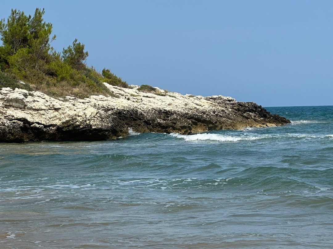 Ultima Spiaggia beach-维耶斯泰必去景点