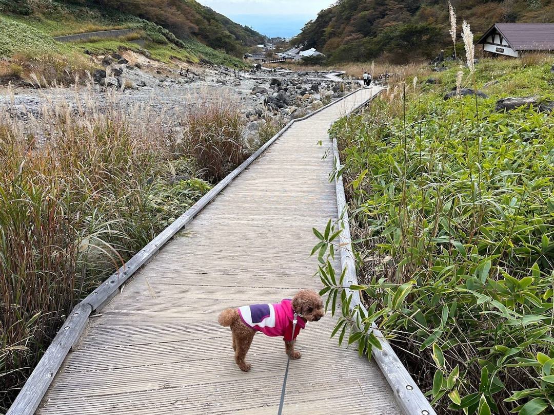 Sesshoseki Rocks-那须町必去景点