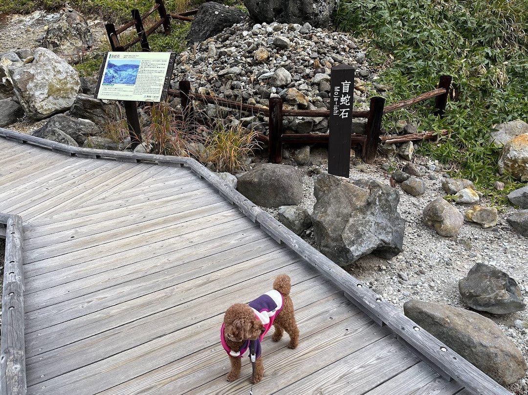 Sesshoseki Rocks-那须町必去景点