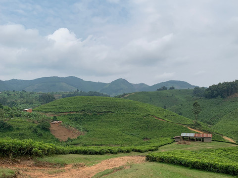 Safari Vacations-坎帕拉必去景点