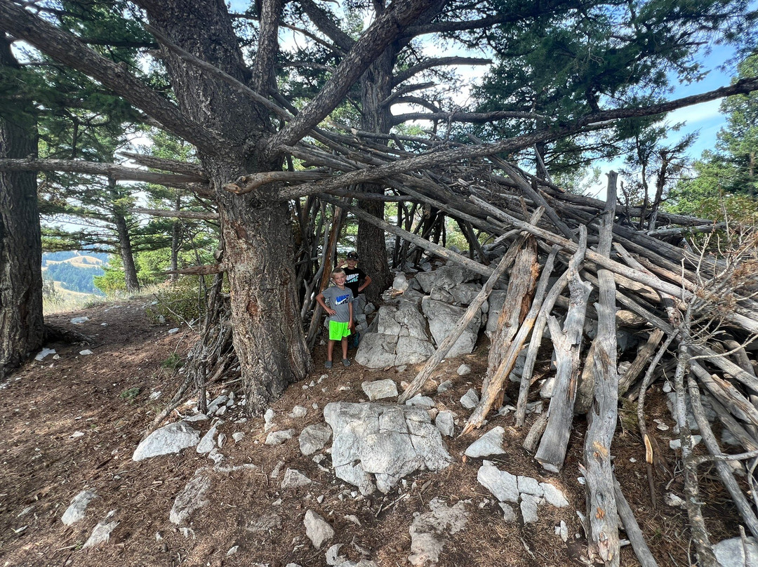 Drinking Horse Mountain Trail