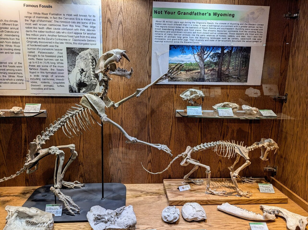 Wyoming Dinosaur Center-瑟莫波利斯必去景点