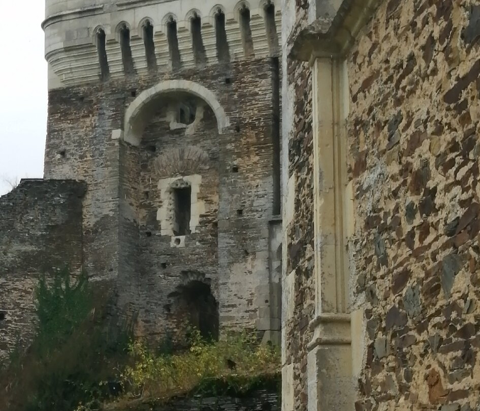 Chateau du Plessis-Mace景点图片