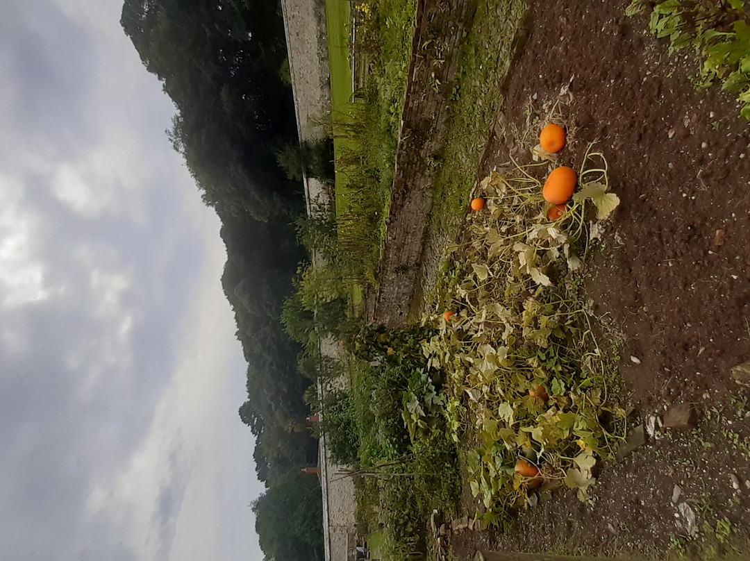 Penrose-赫尔斯顿必去景点