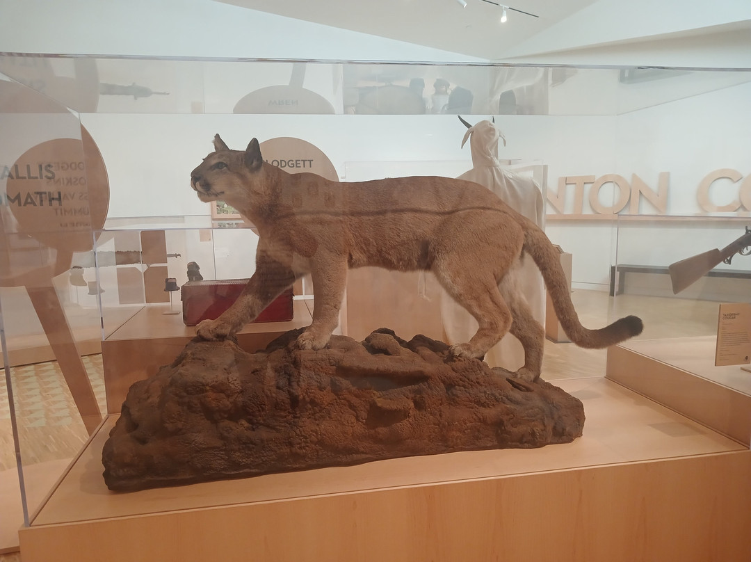 Corvallis Museum-科瓦利斯必去景点