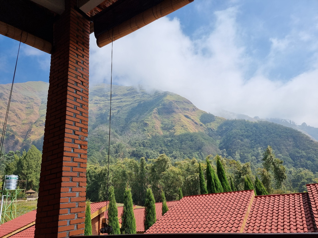 Bromo Terrace Hotel & Resto主图