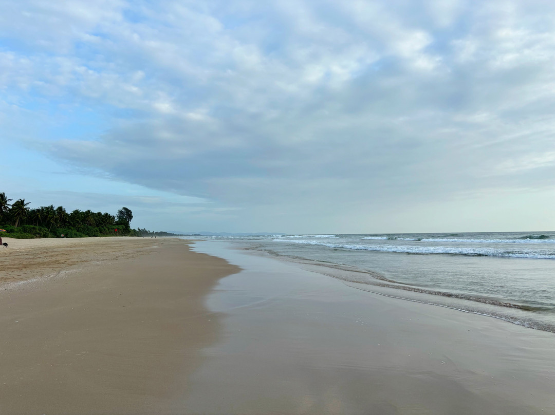 The Postcard Cuelim主图