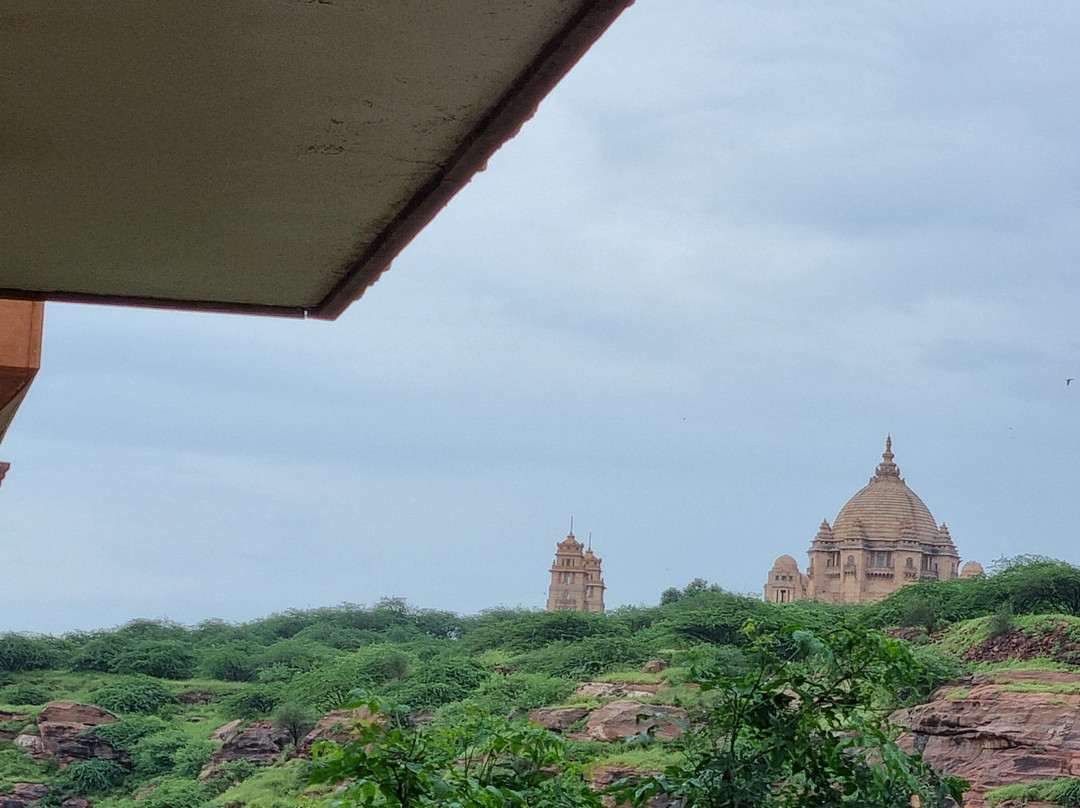 The Almond Tree主图