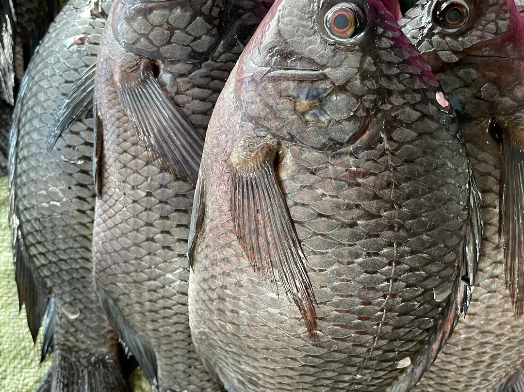 Dunga Beach-基苏木必去景点