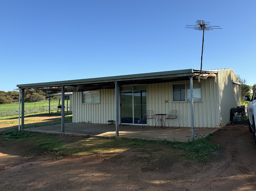 Ninghan Park Farm-Bowes必去景点