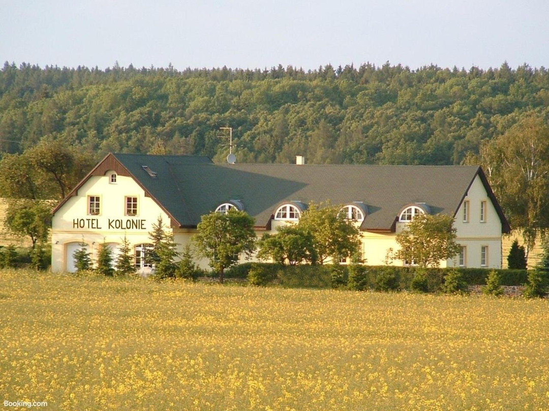 Hotel Kolonie主图