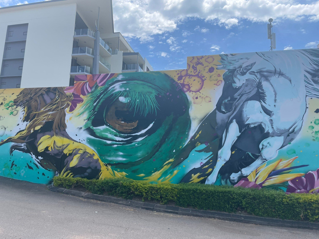 Street Art CBD Walking Trails-汤斯维尔必去景点