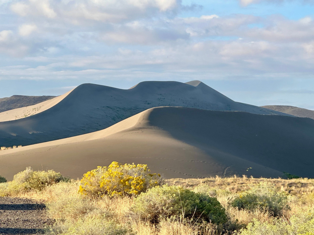 Bruneau Dunes State Park景点图片