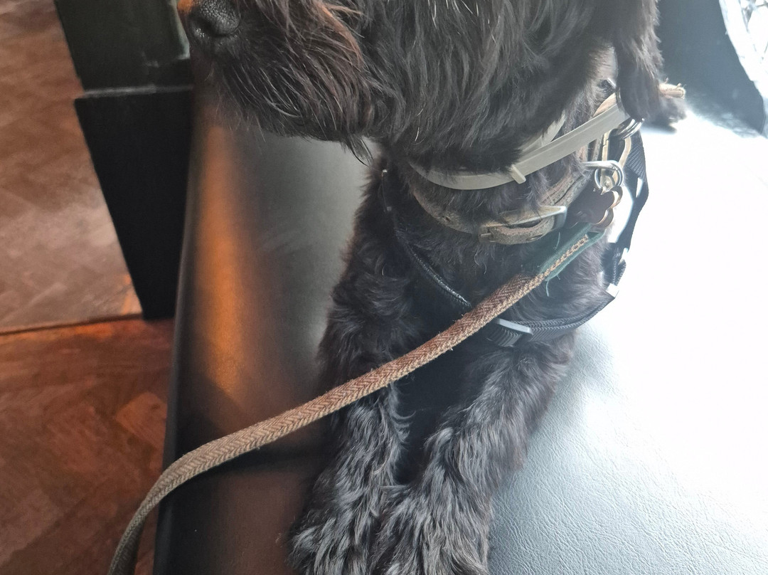 The Jacaranda Club-利物浦必去景点