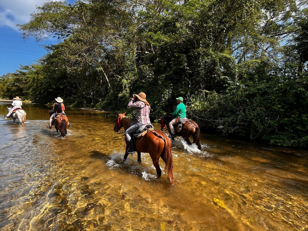 Cabalgatas En Palomino La Mello-帕洛米诺必去景点