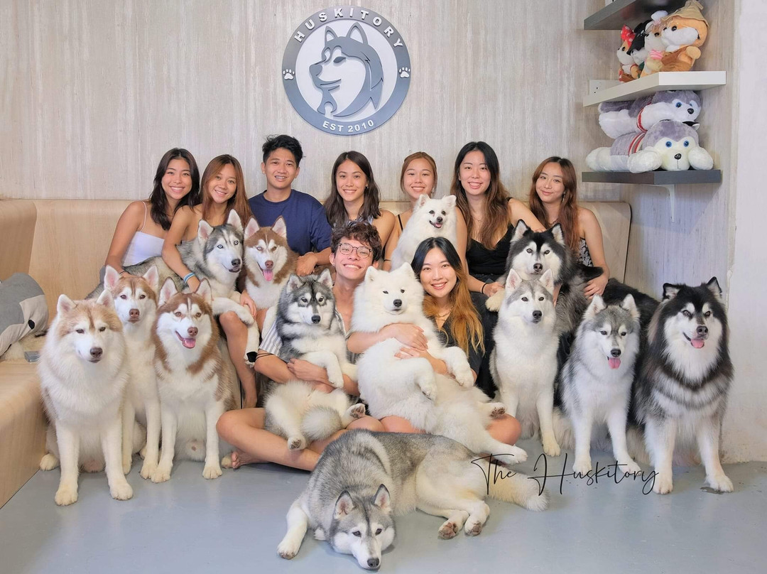 The Huskitory景点图片