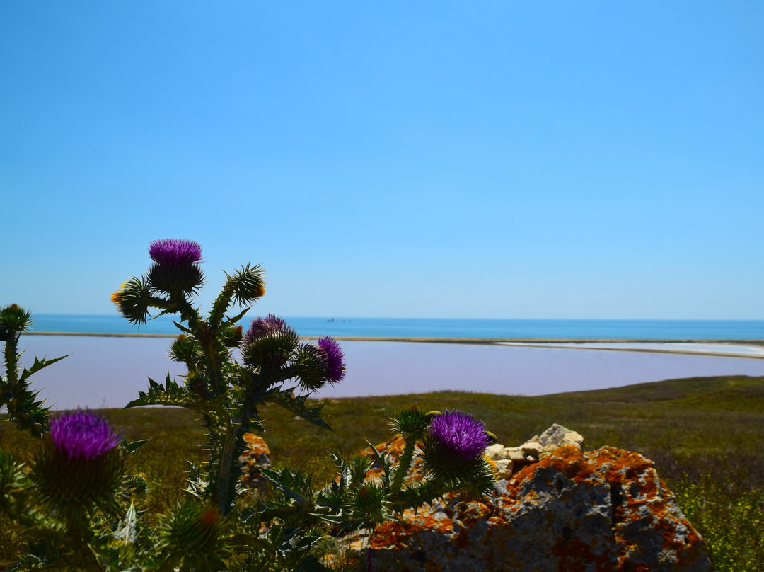 Opukskiy Nature Reserve景点图片