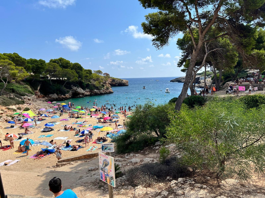 Cala Esmeralda Beach-卡拉多尔必去景点