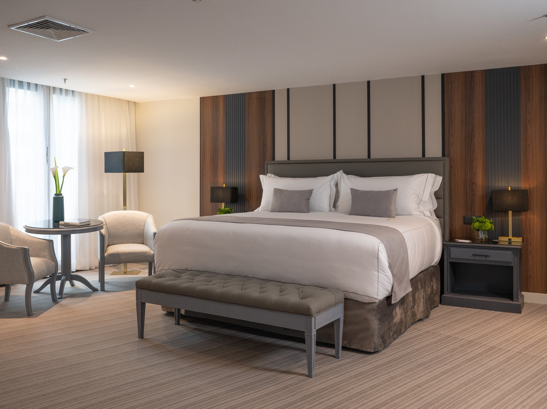 加拉加斯丽都中央酒店主图