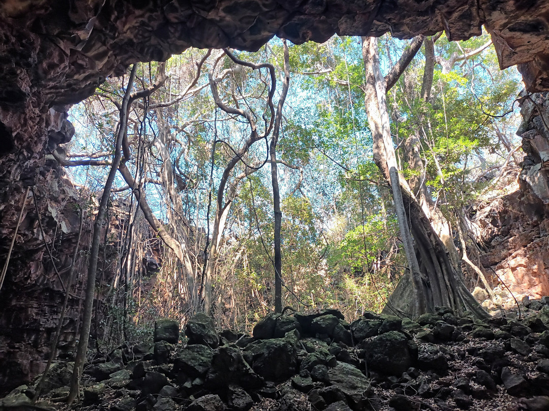 Heritage Tours-凯恩斯必去景点