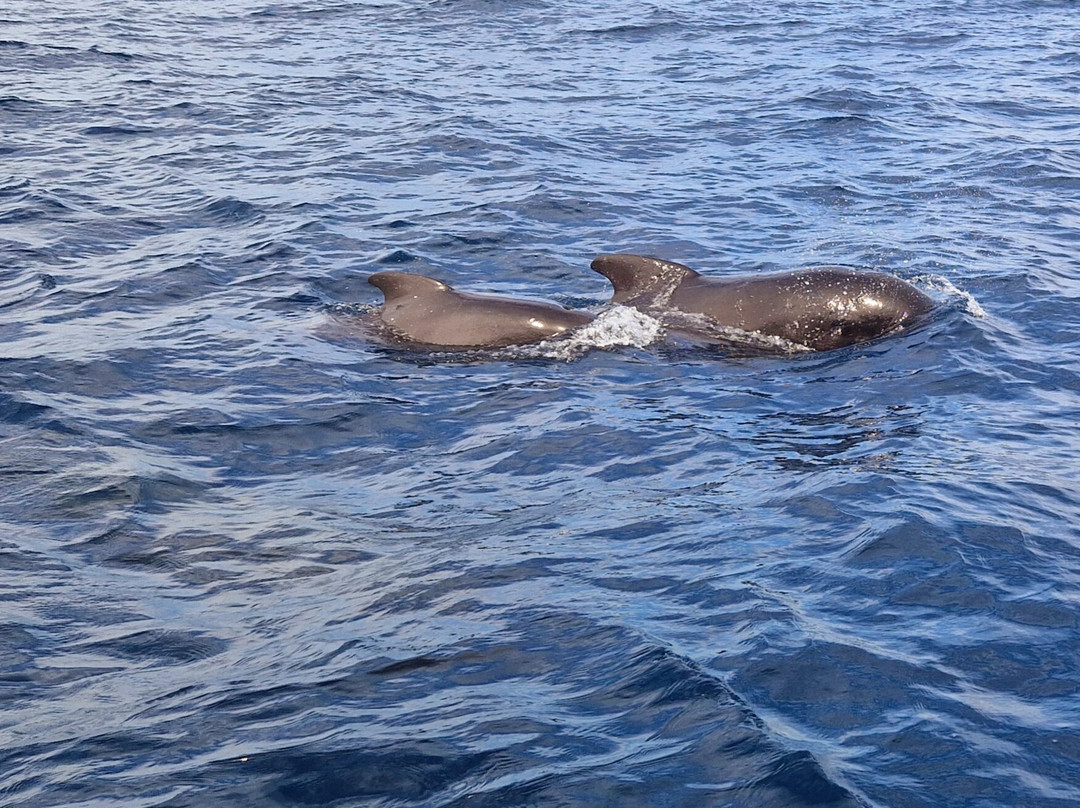 Top Tarifa-塔里法必去景点