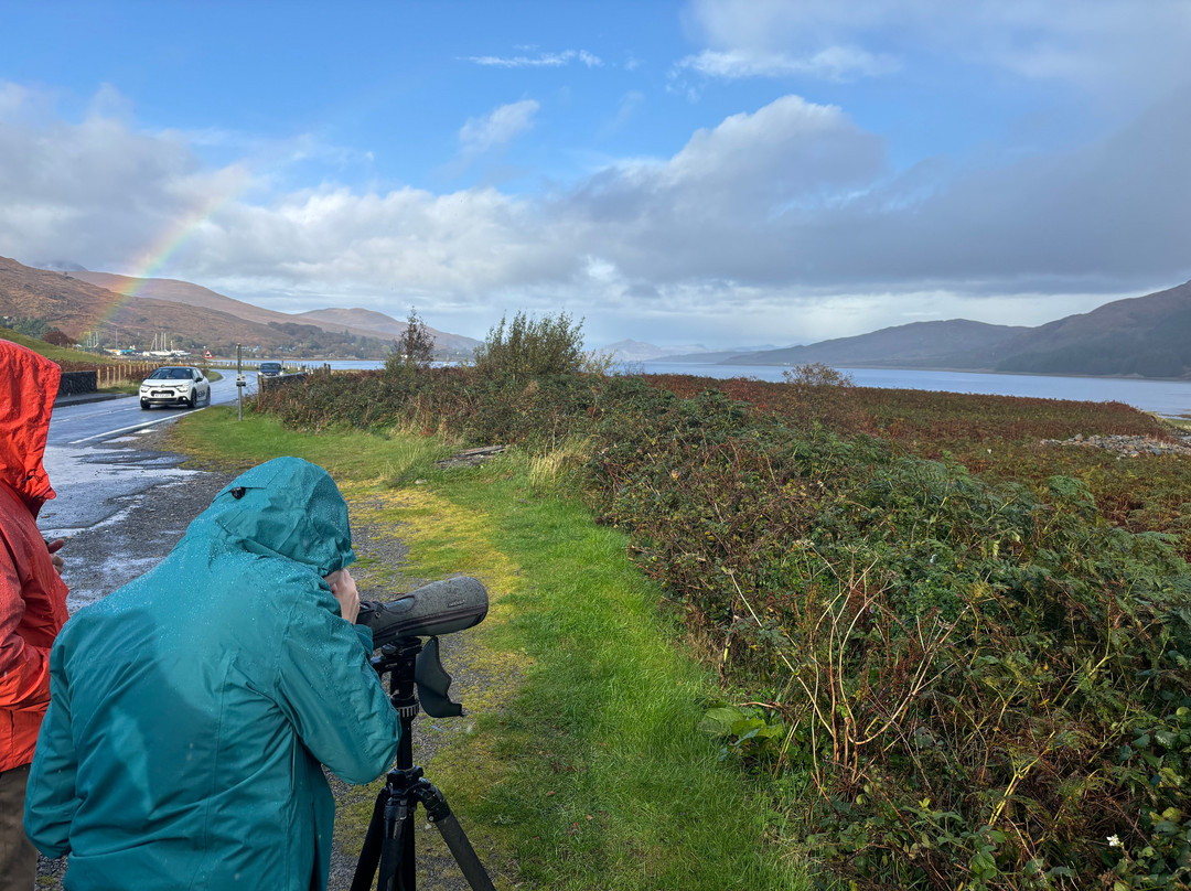 Isle of Skye Wildlife Tours -Tours景点图片