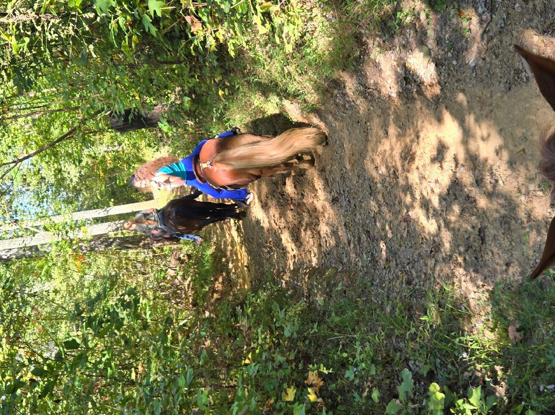 Sugarland Riding Stables-盖林柏格必去景点