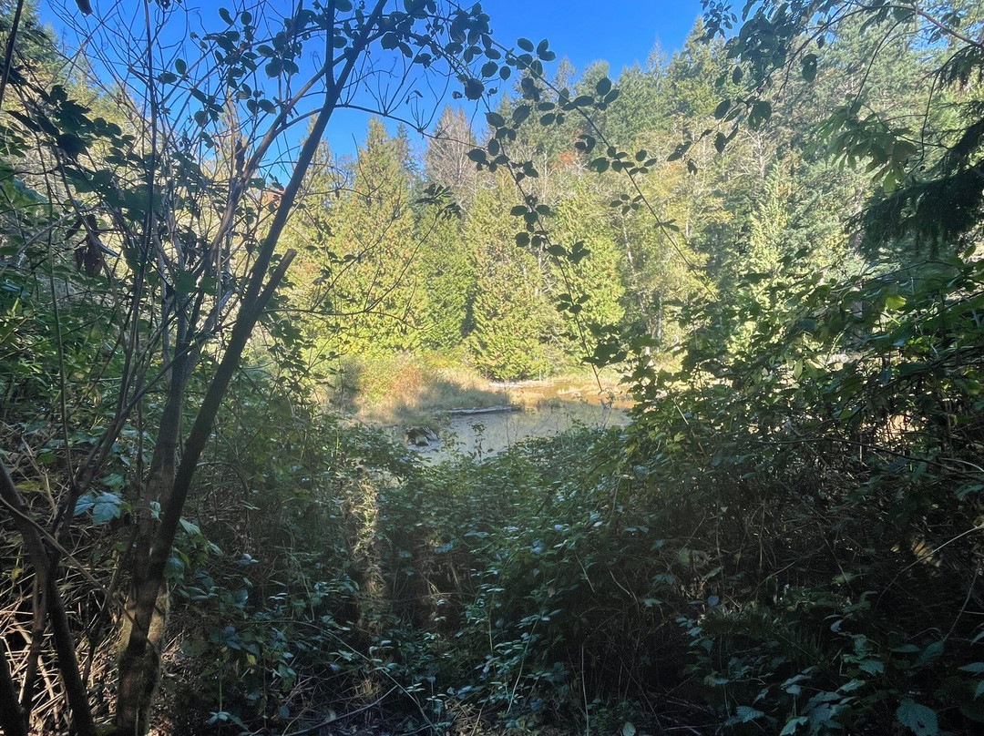 Lord Hill Regional Park景点图片