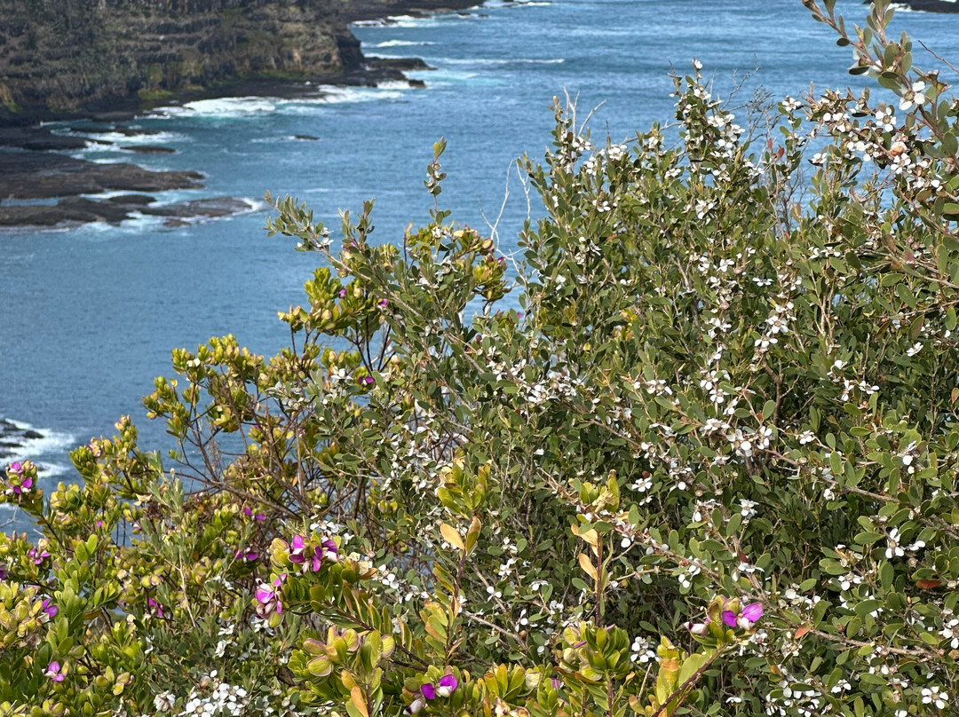 Great Private Tours-墨尔本必去景点