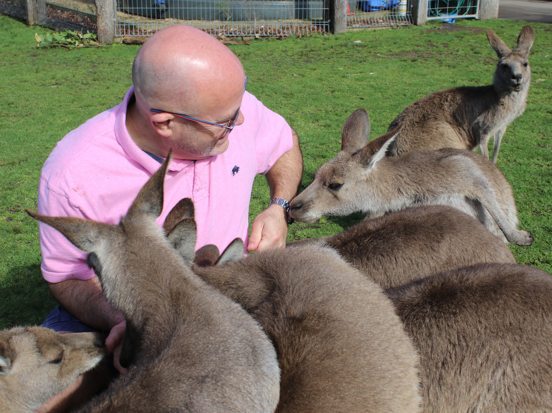 Symbio Wildlife Park-海伦斯堡必去景点