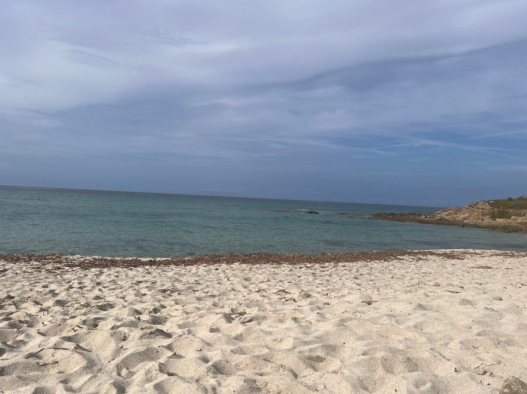 Plage de Bodri-Corbara必去景点
