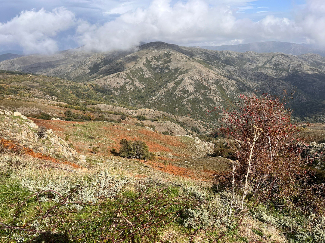 Bruncu Spina Et Punta Lamarmora-Desulo必去景点