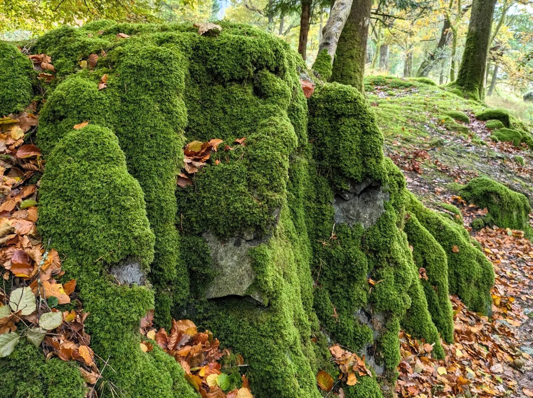 Rydal Hall Sculpture Path景点图片