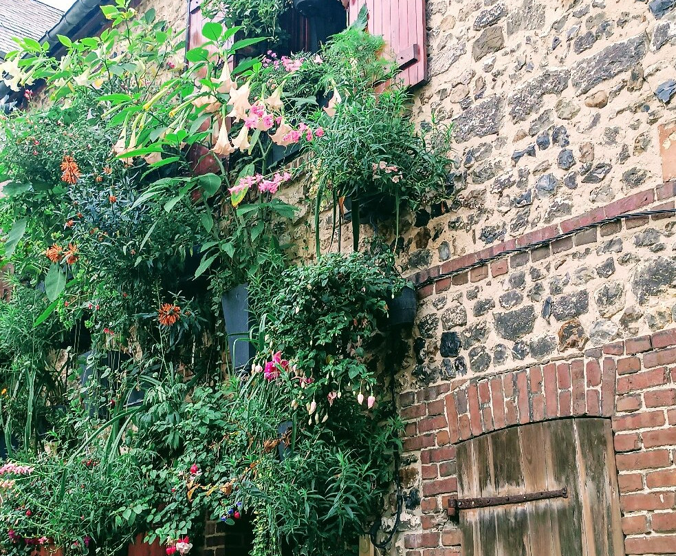 Jardin du Tripot-翁弗勒尔必去景点